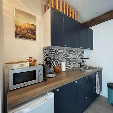 L'annexe Du Chateau De Genix Πανσιόν Saint-Genix-sur-Guiers
